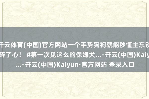 开云体育(中国)官方网站一个手势狗狗就能秒懂主东谈主教导，为所有家操碎了心！ #第一次见这么的保姆犬...-开云(中国)Kaiyun·官方网站 登录入口