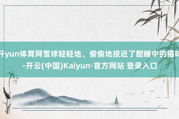 开yun体育网雪球轻轻地、偷偷地接近了酣睡中的猫咪-开云(中国)Kaiyun·官方网站 登录入口