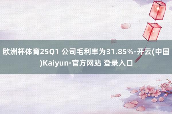 欧洲杯体育25Q1 公司毛利率为31.85%-开云(中国)Kaiyun·官方网站 登录入口