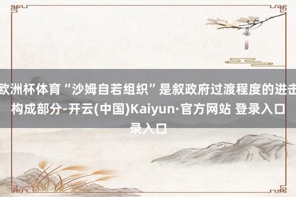欧洲杯体育“沙姆自若组织”是叙政府过渡程度的进击构成部分-开云(中国)Kaiyun·官方网站 登录入口