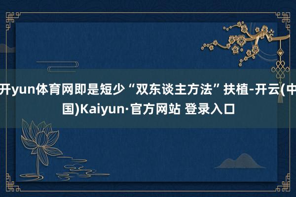 开yun体育网即是短少“双东谈主方法”扶植-开云(中国)Kaiyun·官方网站 登录入口