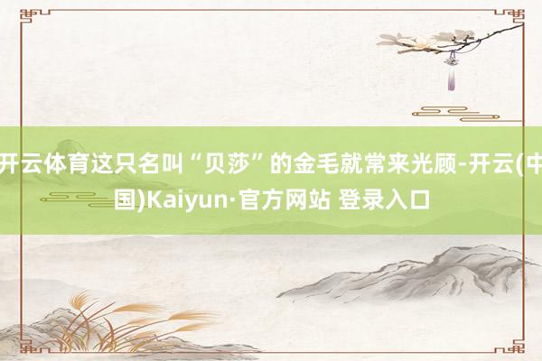 开云体育这只名叫“贝莎”的金毛就常来光顾-开云(中国)Kaiyun·官方网站 登录入口