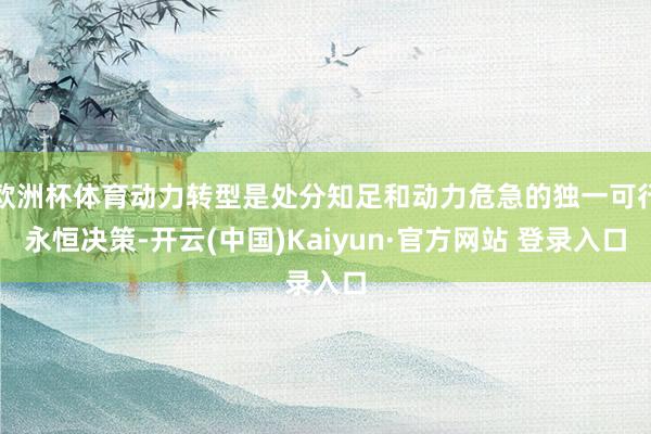 欧洲杯体育动力转型是处分知足和动力危急的独一可行永恒决策-开云(中国)Kaiyun·官方网站 登录入口