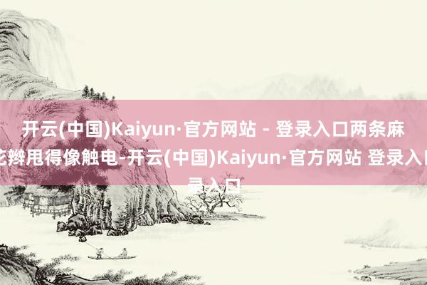 开云(中国)Kaiyun·官方网站 - 登录入口两条麻花辫甩得像触电-开云(中国)Kaiyun·官方网站 登录入口