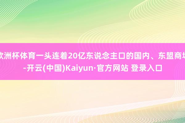 欧洲杯体育一头连着20亿东说念主口的国内、东盟商场-开云(中国)Kaiyun·官方网站 登录入口