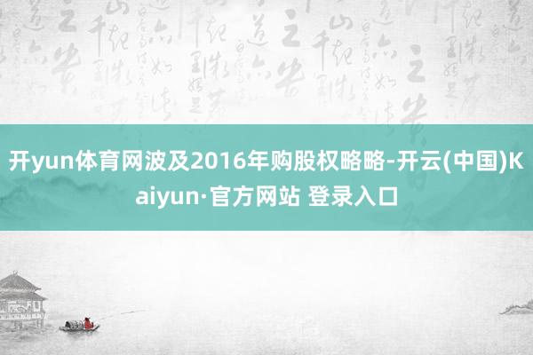 开yun体育网波及2016年购股权略略-开云(中国)Kaiyun·官方网站 登录入口