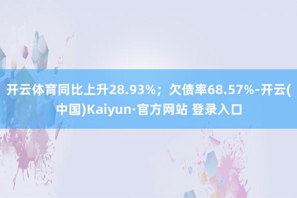 开云体育同比上升28.93%；欠债率68.57%-开云(中国)Kaiyun·官方网站 登录入口