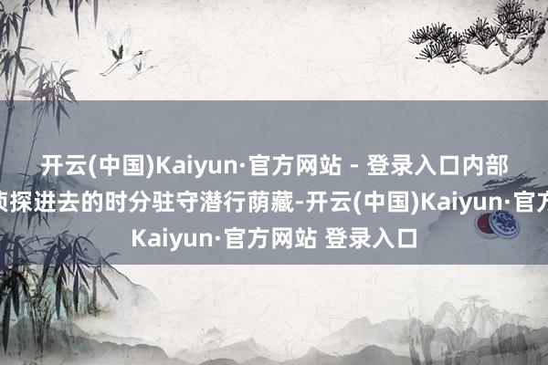 开云(中国)Kaiyun·官方网站 - 登录入口内部有东说念主在侦探进去的时分驻守潜行荫藏-开云(中国)Kaiyun·官方网站 登录入口