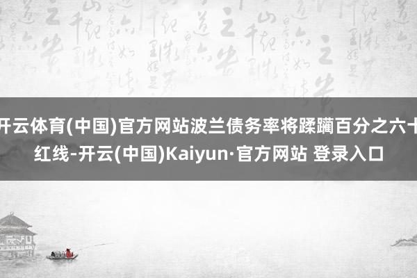 开云体育(中国)官方网站波兰债务率将蹂躏百分之六十红线-开云(中国)Kaiyun·官方网站 登录入口