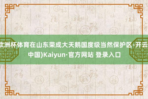 欧洲杯体育在山东荣成大天鹅国度级当然保护区-开云(中国)Kaiyun·官方网站 登录入口