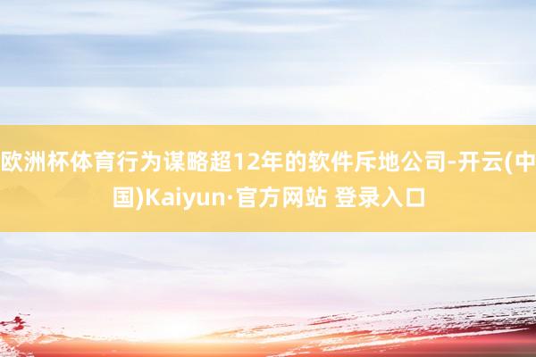 欧洲杯体育行为谋略超12年的软件斥地公司-开云(中国)Kaiyun·官方网站 登录入口