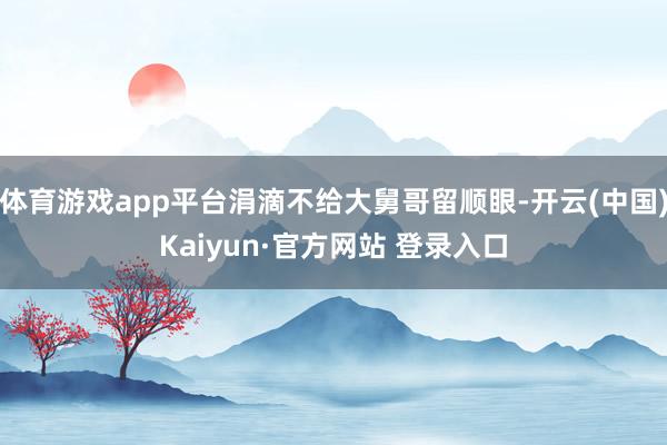 体育游戏app平台涓滴不给大舅哥留顺眼-开云(中国)Kaiyun·官方网站 登录入口