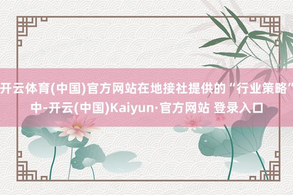 开云体育(中国)官方网站在地接社提供的“行业策略”中-开云(中国)Kaiyun·官方网站 登录入口