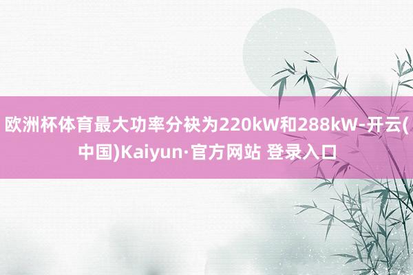 欧洲杯体育最大功率分袂为220kW和288kW-开云(中国)Kaiyun·官方网站 登录入口