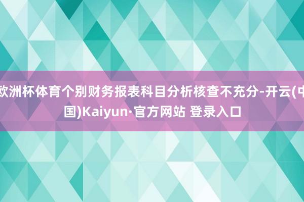 欧洲杯体育个别财务报表科目分析核查不充分-开云(中国)Kaiyun·官方网站 登录入口