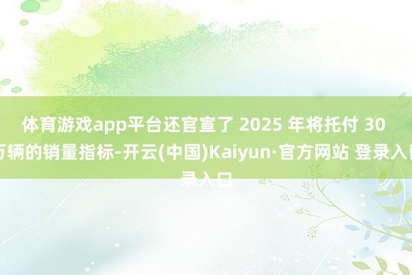 体育游戏app平台还官宣了 2025 年将托付 30 万辆的销量指标-开云(中国)Kaiyun·官方网站 登录入口