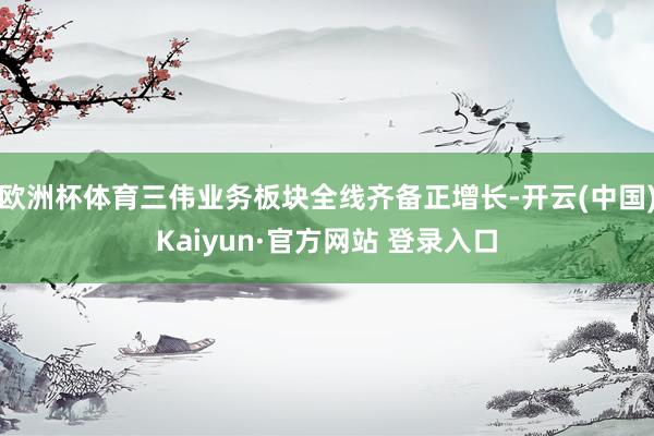 欧洲杯体育三伟业务板块全线齐备正增长-开云(中国)Kaiyun·官方网站 登录入口