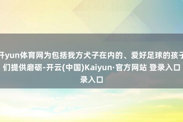 开yun体育网为包括我方犬子在内的、爱好足球的孩子们提供磨砺-开云(中国)Kaiyun·官方网站 登录入口