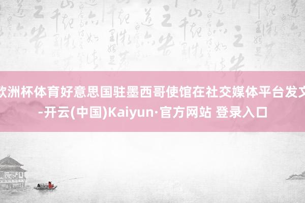 欧洲杯体育好意思国驻墨西哥使馆在社交媒体平台发文-开云(中国)Kaiyun·官方网站 登录入口