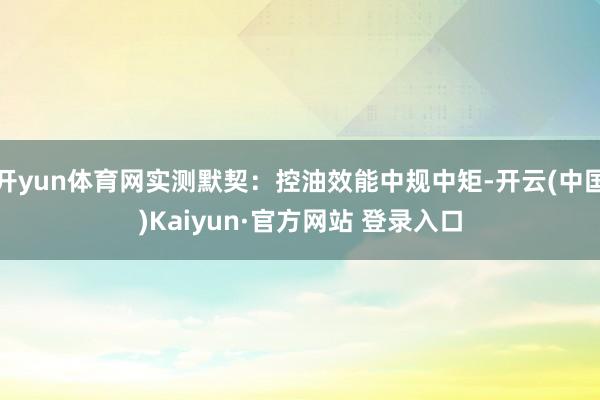 开yun体育网实测默契：控油效能中规中矩-开云(中国)Kaiyun·官方网站 登录入口