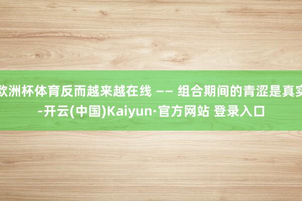 欧洲杯体育反而越来越在线 —— 组合期间的青涩是真实-开云(中国)Kaiyun·官方网站 登录入口