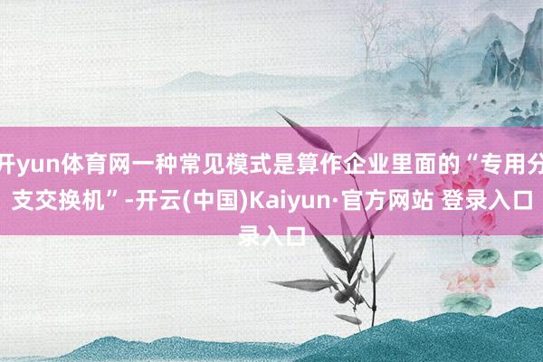开yun体育网一种常见模式是算作企业里面的“专用分支交换机”-开云(中国)Kaiyun·官方网站 登录入口