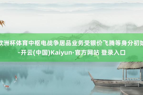 欧洲杯体育中枢电战争居品业务受银价飞腾等身分初始-开云(中国)Kaiyun·官方网站 登录入口